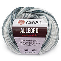 Пряжа YarnArt 'Allegro' 50гр 145м (13% шерсть, 41% полиамид, 46% акрил) (748 секционный)