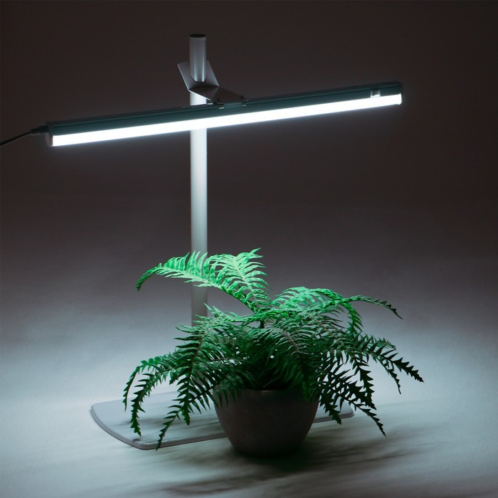 Фитосветильник «Растущий светильник», 16 Вт, 220 В, 560 × 220 × 560 мм, на подставке - фото 5 - id-p199442088