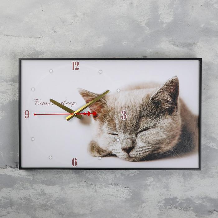Часы-картина настенные, серия: Животные, "Серая кошка", плавный ход, 57 х 35 х 4 см - фото 5 - id-p199418237