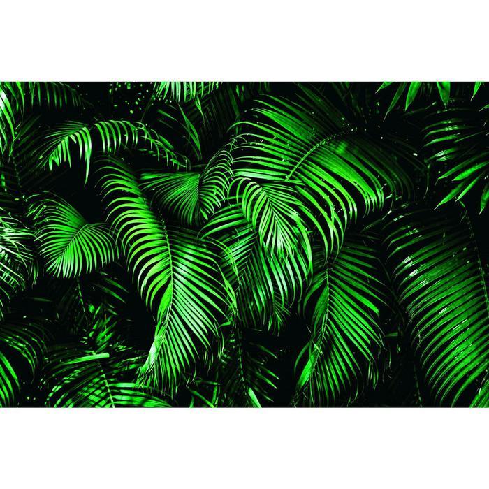 Фотобаннер, 300 × 200 см, с фотопечатью, люверсы шаг 1 м, «Зелёные листья» - фото 1 - id-p199441464