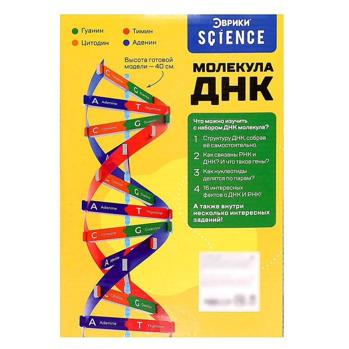 Набор для опытов «Молекула ДНК» - фото 8 - id-p199412396