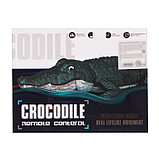 Крокодил радиоуправляемый, плавает, работает от аккумулятора, цвет зелёный, фото 8