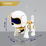 Робот-собака «Чаппи», русское озвучивание, световые и звуковые эффекты, цвет золотой, фото 2