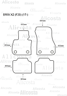 Ворсовые автоковрики BMW X2 (F39) (17-) Салон, Standart, Черный