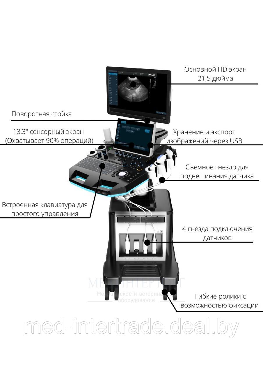 Ультразвуковая система среднего класса Т6-Vet - фото 4 - id-p199347471