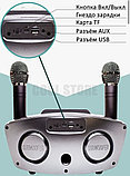 Караоке система СОВА SDRD SD-306 Plus на два микрофона/Графит, фото 5