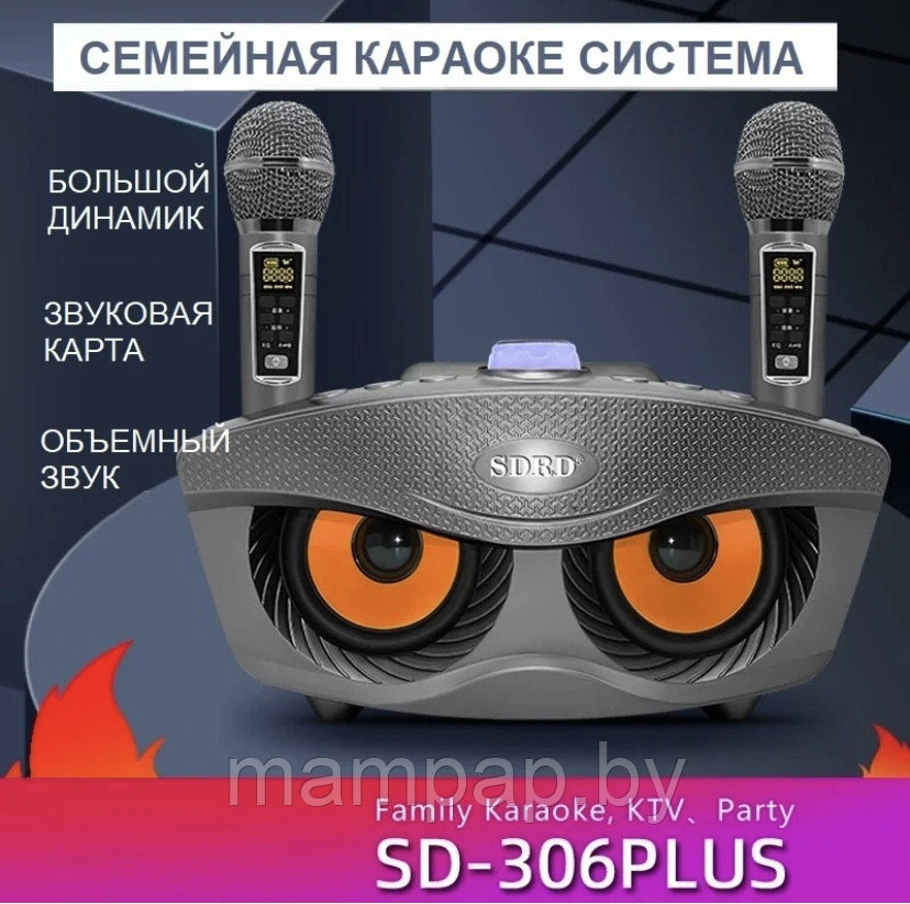 Караоке система СОВА SDRD SD-306 Plus на два микрофона/Графит