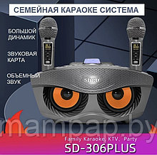 Караоке система СОВА SDRD SD-306 Plus на два микрофона/Графит
