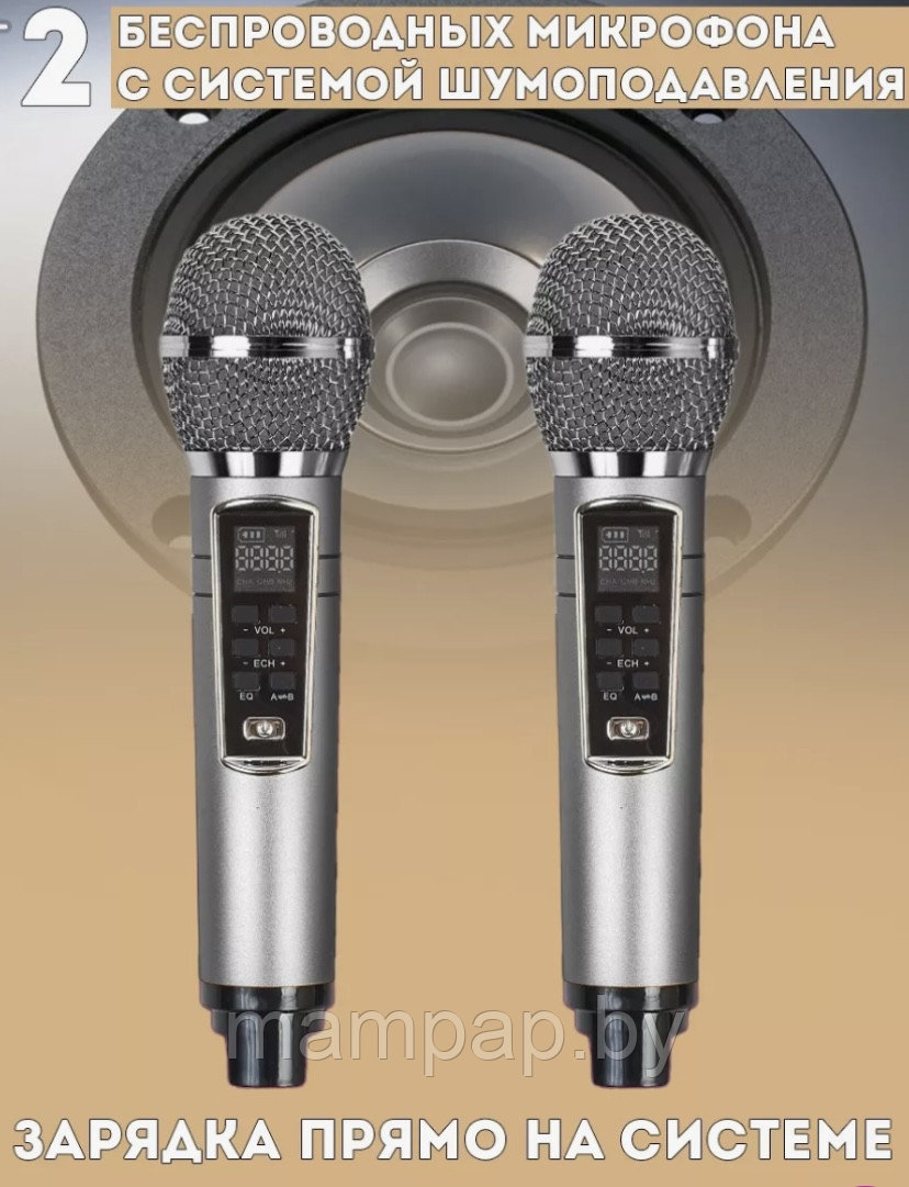 Караоке система СОВА SDRD SD-306 Plus на два микрофона/Графит - фото 6 - id-p199456699