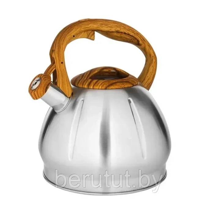 Чайник со свистком 3 л HOFFMANN HM-55157