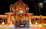 Экскурсия в Беловежскую пущу, резиденцию Деда Мороза и Каменец, фото 2