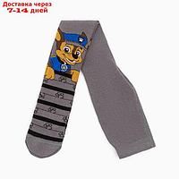 Колготки PAW PATROL "Гончик", серый, 92-98 см