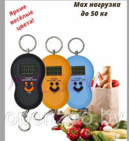 Портативные электронные весы (Безмен) Portable Electronic Scale до 30 кг Голубые - фото 1 - id-p179940097