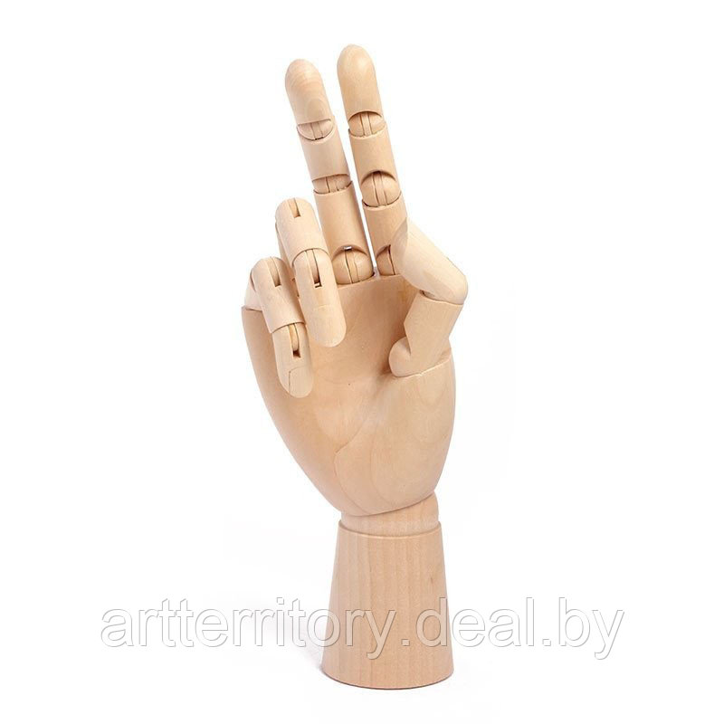 Модель "рука", 25 см, женская правая - фото 1 - id-p199530183