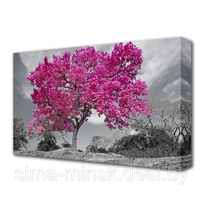 Картина на холсте "Цветущее дерево" 60*100 см - фото 1 - id-p199551126