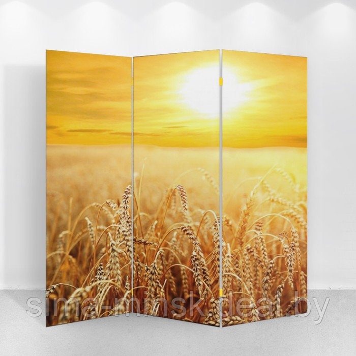 Ширма "Пшеничное поле", 150 х 160 см - фото 2 - id-p199560663