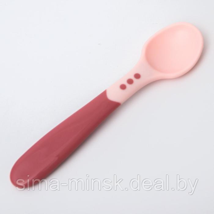 Набор для кормления: миска на присоске, с крышкой + ложка, цвет розовый - фото 4 - id-p199560836