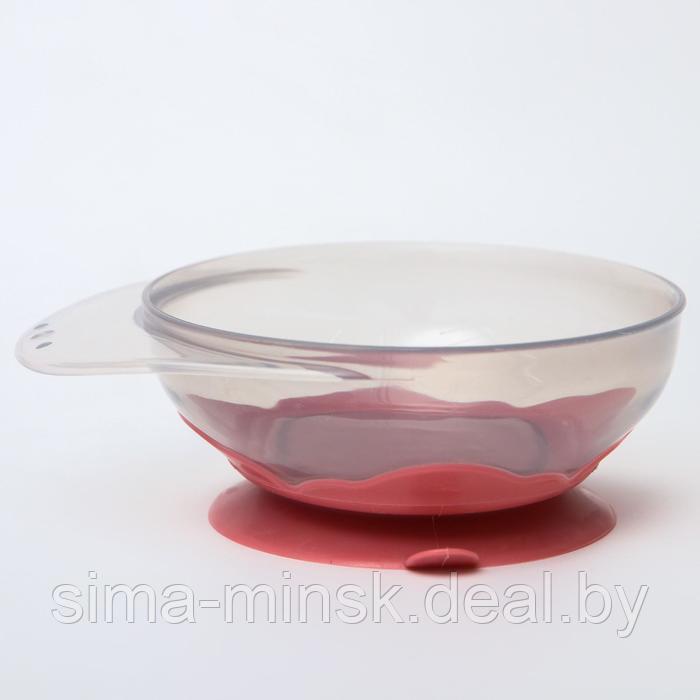 Набор для кормления: миска на присоске, с крышкой + ложка, цвет розовый - фото 5 - id-p199560836