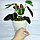 Скатерть Тепломакс "гибкое стекло" Пленка из ПВХ 120x80 см (толщина 0.7 мм), фото 8