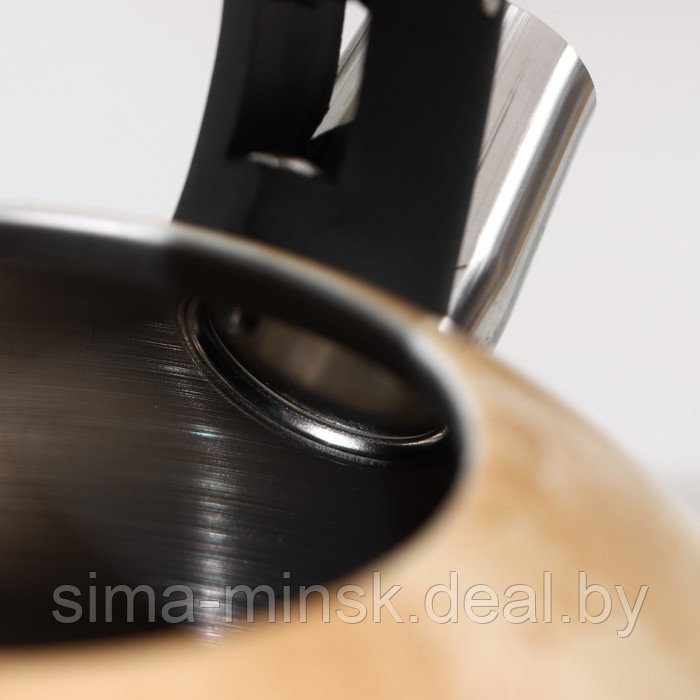 Чайник со свистком из нержавеющей стали Доляна «Скоттиш», 2,8 л - фото 3 - id-p199564127