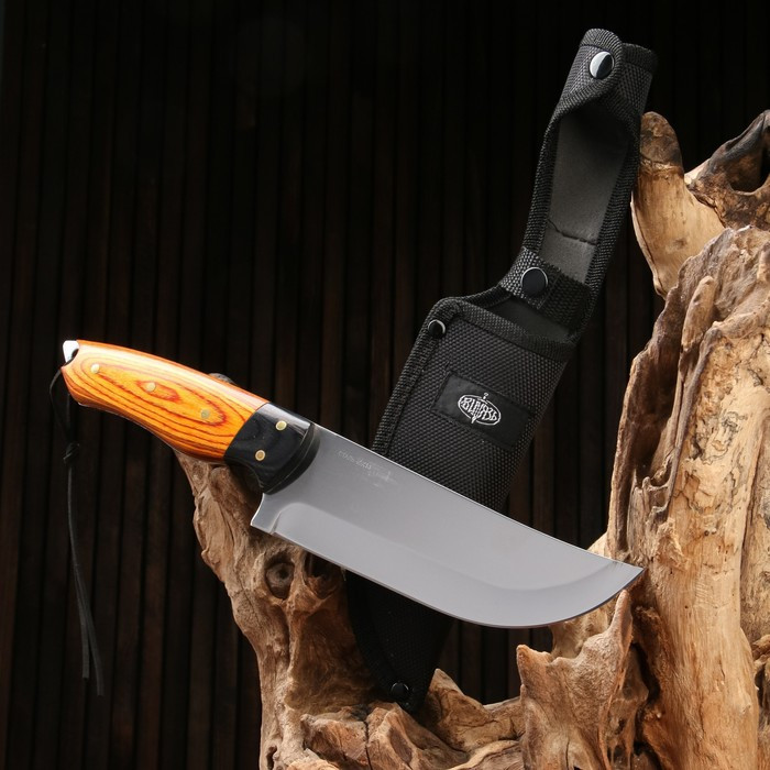 Нож охотничий "Телец" сталь - 40х13, рукоять - дерево, 29 см - фото 1 - id-p199594672