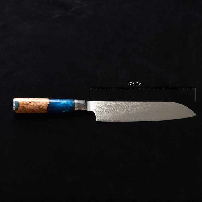 Нож Сантоку Paladium, 17,8 см, дамасская сталь VG-10 - фото 2 - id-p199596709