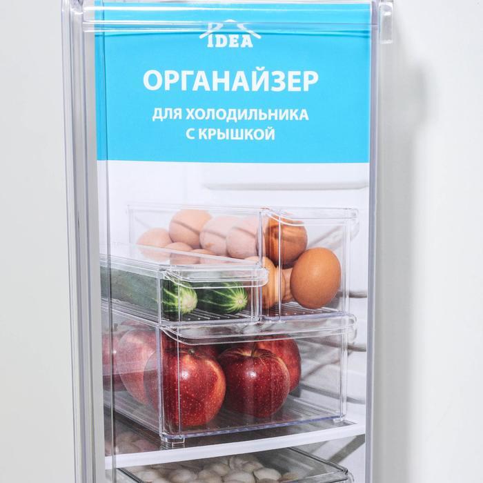Контейнер для холодильника с крышкой IDEA, 10×30×10 см, цвет прозрачный - фото 5 - id-p199597243