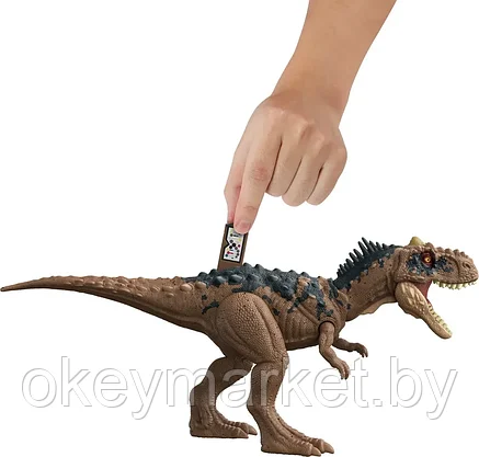 Фигурка Mattel Jurassic World  Раджазавр Рычащий динозавр (3 звуковых эффекта) HDX35, фото 2