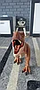 Фигурка Mattel Jurassic World  тиранозавр Рекс GNH35, фото 2