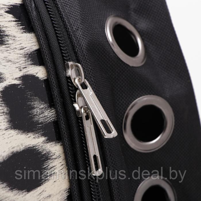 Рюкзак для переноски животных "Леопардовый", с окном для обзора, 32 х 22 х 43 см - фото 7 - id-p199621160