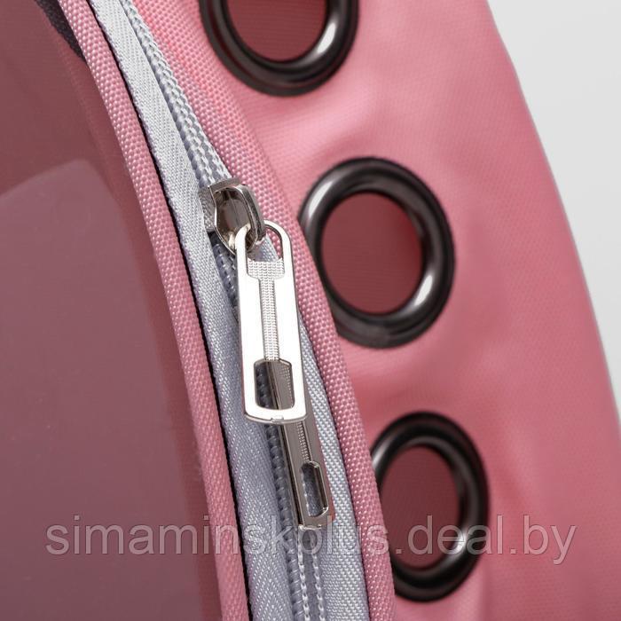 Рюкзак для переноски животных, прозрачный, 31 х 28 х 42 см, розовый - фото 7 - id-p199621170