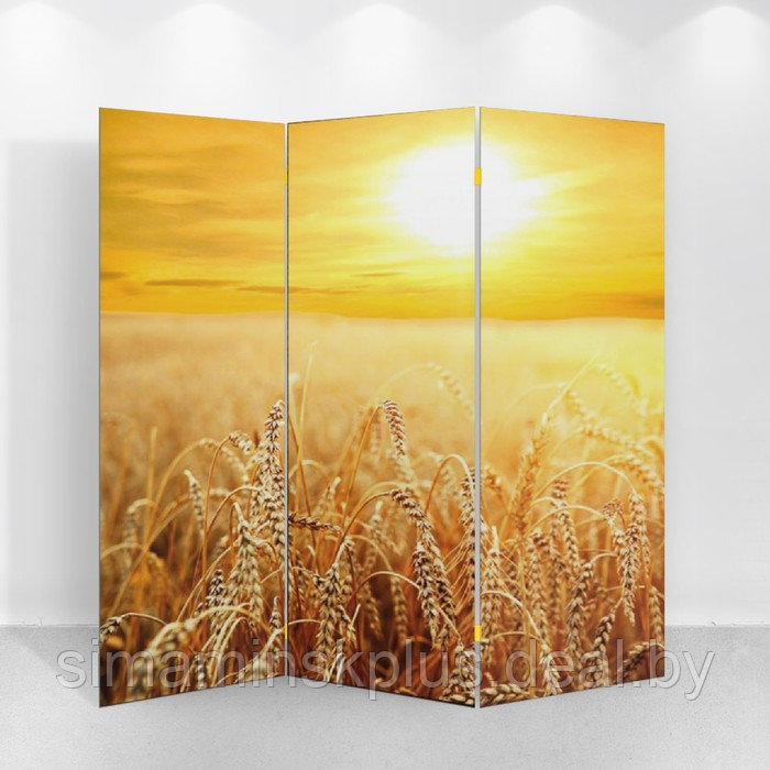 Ширма "Пшеничное поле", 150 х 160 см - фото 2 - id-p199625109