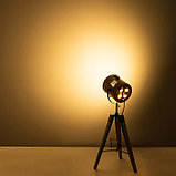 Настольная лампа "Алес" E27 40Вт бронза 24х31 см, фото 4