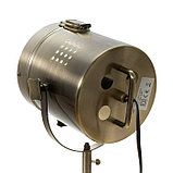Настольная лампа "Алес" E27 40Вт бронза 24х31 см, фото 7