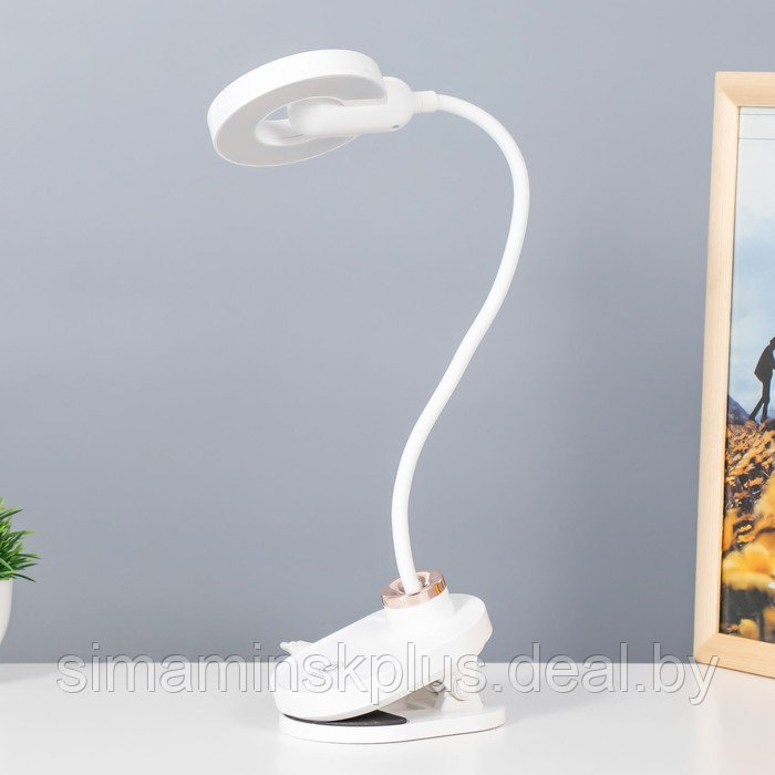 Настольная лампа на прищепке "Блум" LED 3Вт АКБ USB белый 8х12х42,5 см - фото 1 - id-p199627327