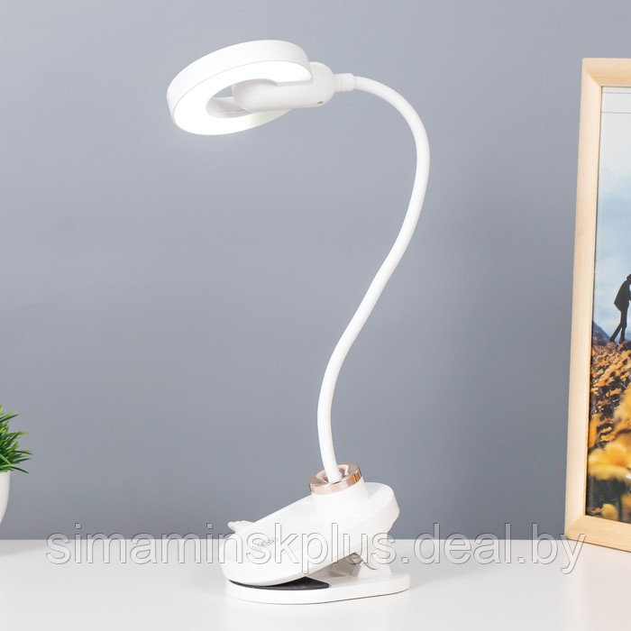 Настольная лампа на прищепке "Блум" LED 3Вт АКБ USB белый 8х12х42,5 см - фото 2 - id-p199627327