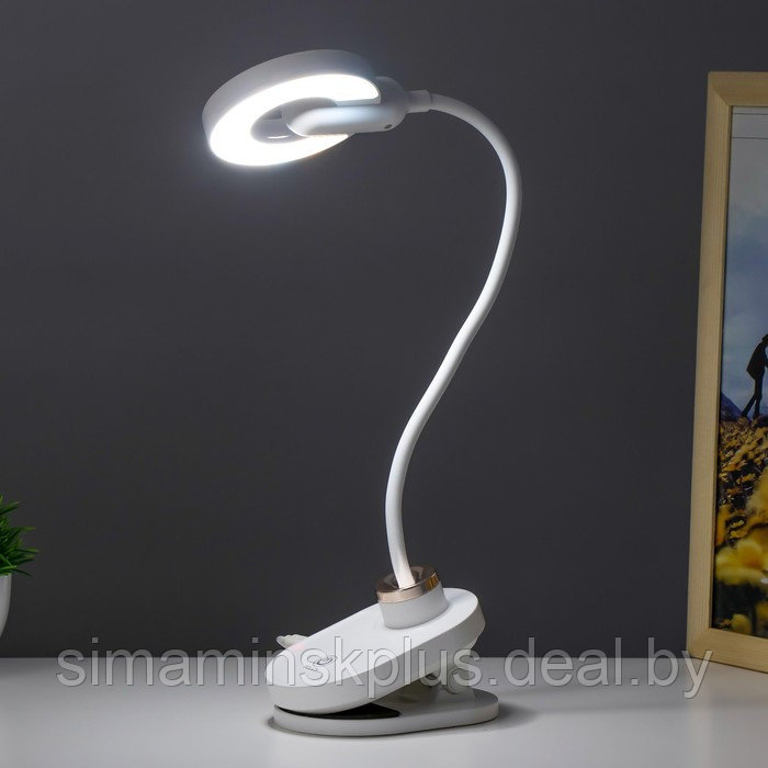 Настольная лампа на прищепке "Блум" LED 3Вт АКБ USB белый 8х12х42,5 см - фото 4 - id-p199627327