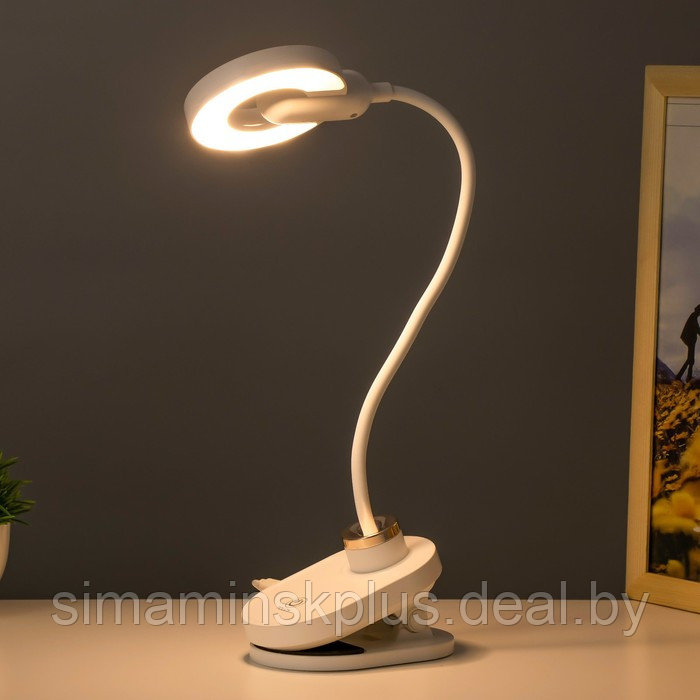 Настольная лампа на прищепке "Блум" LED 3Вт АКБ USB белый 8х12х42,5 см - фото 5 - id-p199627327