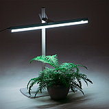 Фитосветильник «Растущий светильник», 16 Вт, 220 В, 560 × 220 × 560 мм, на подставке, фото 5