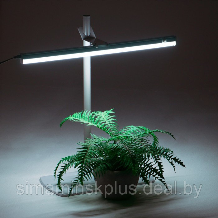 Фитосветильник «Растущий светильник», 16 Вт, 220 В, 560 × 220 × 560 мм, на подставке - фото 5 - id-p199792047