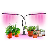 Светильник для растений на прищепке, с пультом и таймером, 20 Вт, черный корпус, фото 2
