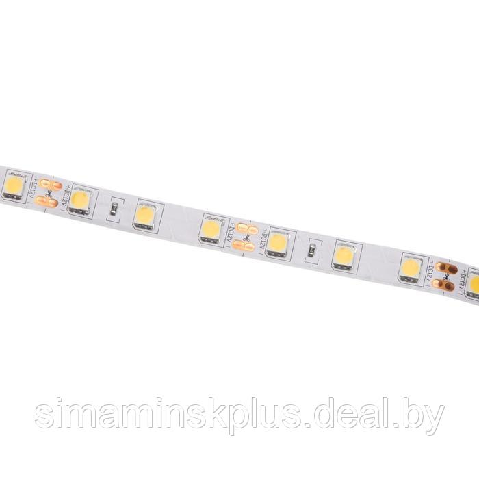 Светодиодная лента Ecola PRO 5 м, IP20, SMD5050, 60 LED/м, 14.4 Вт/м, 12 В, 4200К - фото 3 - id-p199792073