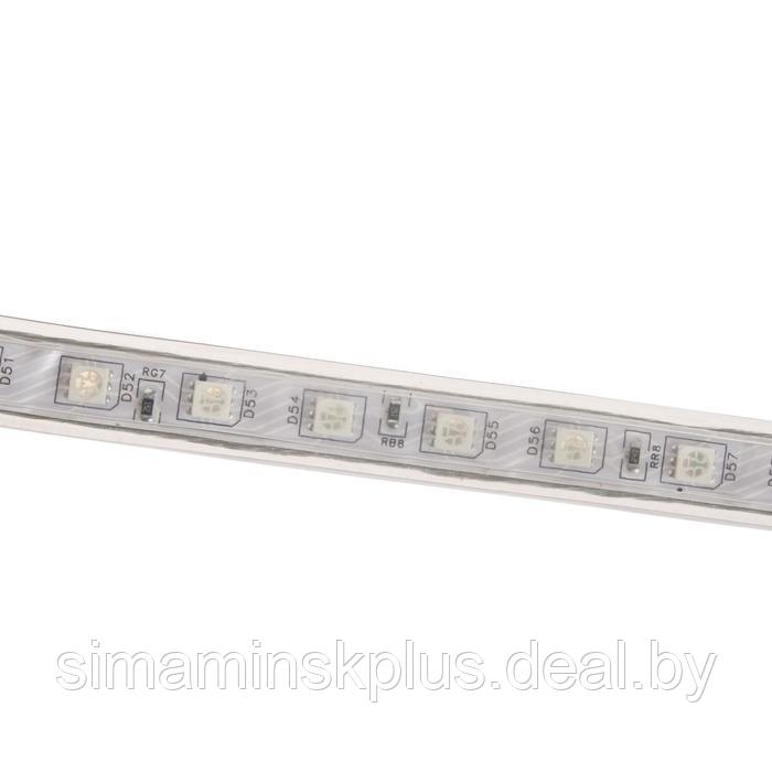 Светодиодная лента Ecola 14 × 7 мм, 100 м, IP68, SMD5050, 30 LED/м, 7.2 Вт/м, 220 В, RGB - фото 2 - id-p199792107