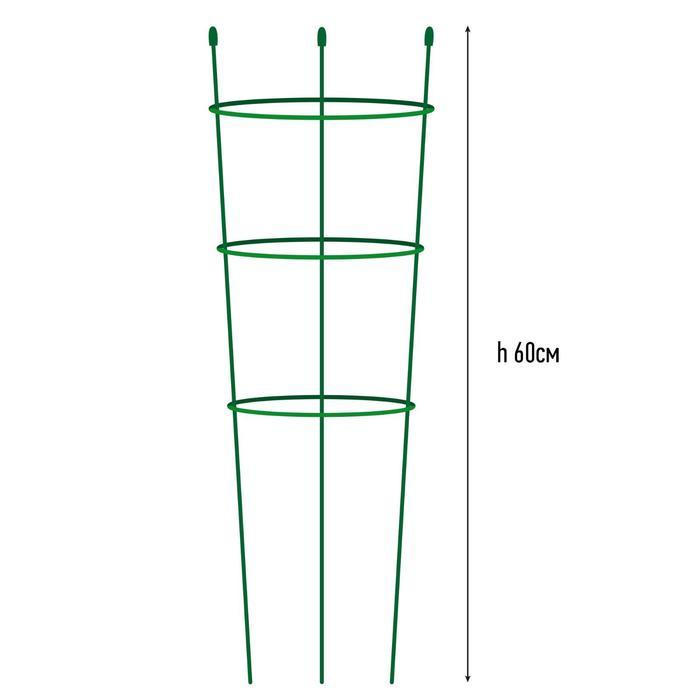 Опора для растений, 3 кольца, h = 60 см, d = 22-18-8 см, металл - фото 2 - id-p199803583