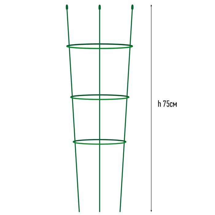 Опора для растений, 3 кольца, h = 75 см, d = 24-22-20 см, металл - фото 2 - id-p199803585