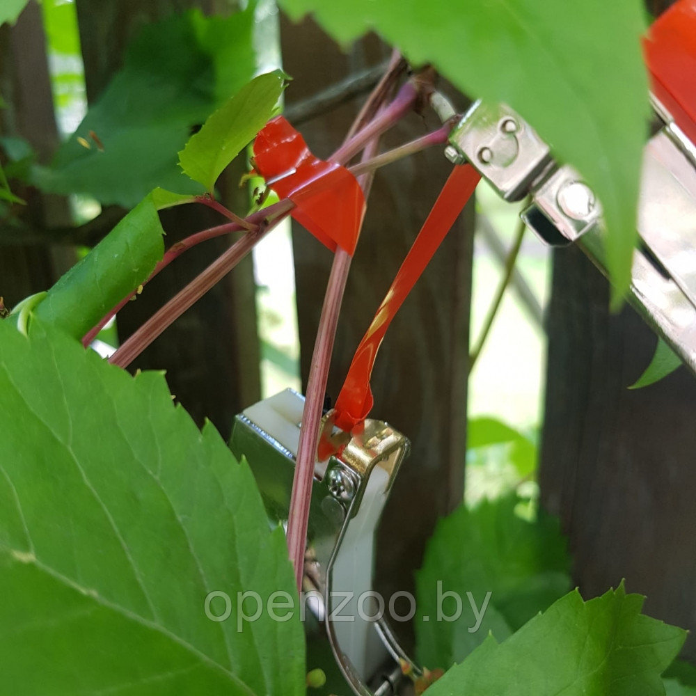 Степлер - подвязчик растений к опоре Tapetool (тапенер) Зеленый - фото 4 - id-p198556511