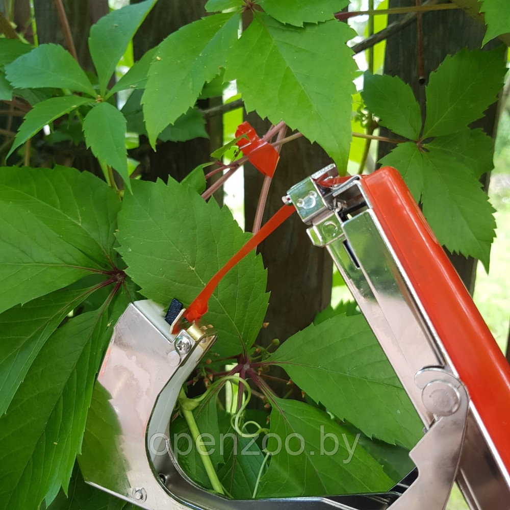 Степлер - подвязчик растений к опоре Tapetool (тапенер) Зеленый - фото 3 - id-p198556511