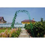 Арка садовая, разборная, 240 × 125 × 36.5 см, металл, зелёная, «Ёлочка», Greengo, фото 4
