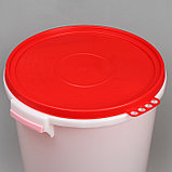 Бак пищевой «Для солений», 45 л, с герметичной крышкой, цвет МИКС, фото 4