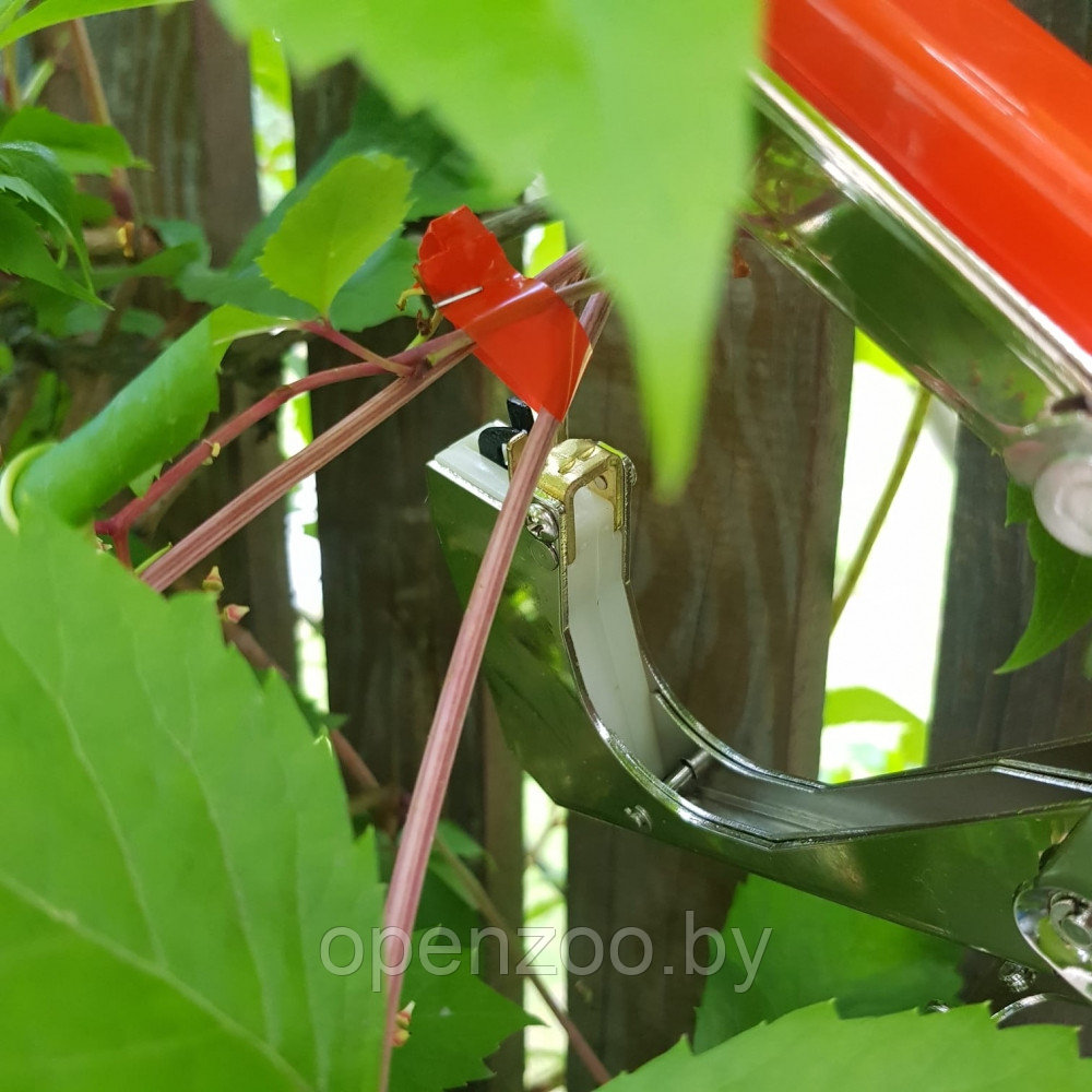 Степлер - подвязчик растений к опоре Tapetool (тапенер) Красный - фото 10 - id-p129573248
